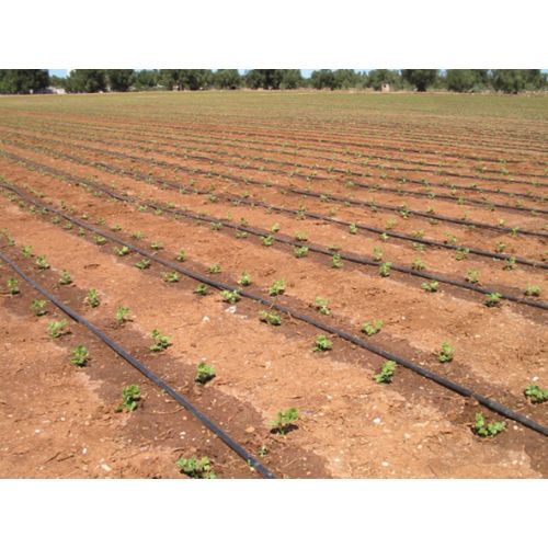 Крапельна трубка Irritec Drip Line Multibar 33-100 з компенсацією тиску (100м) Крапельна трубка Irritec Drip Line Multibar 33-100 з компенсацією тиску (100м)