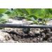 Крапельна трубка Irritec Junior33-100 без компенсації тиску (100м) чорна